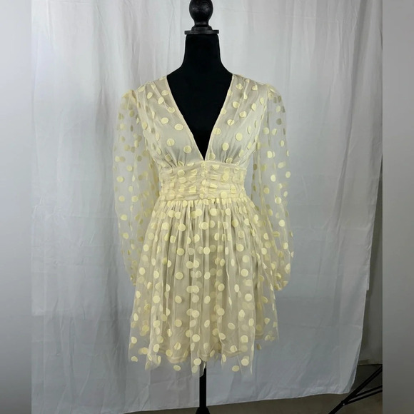NWT Plunging Neck Polka Dot Mesh Skater Dress Size Small - Picture 1 of 6